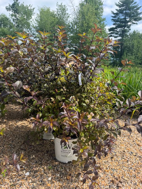 Garden Center
