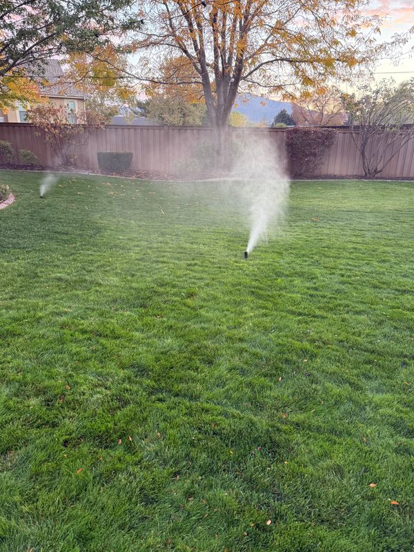 Sprinkler Blowout