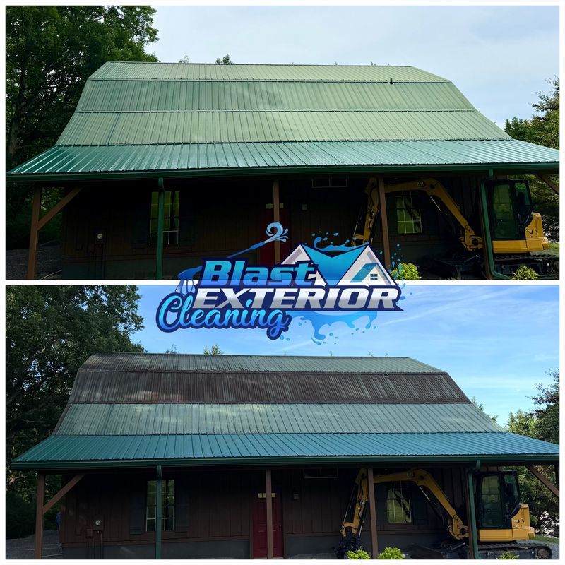 Roof Cleaning