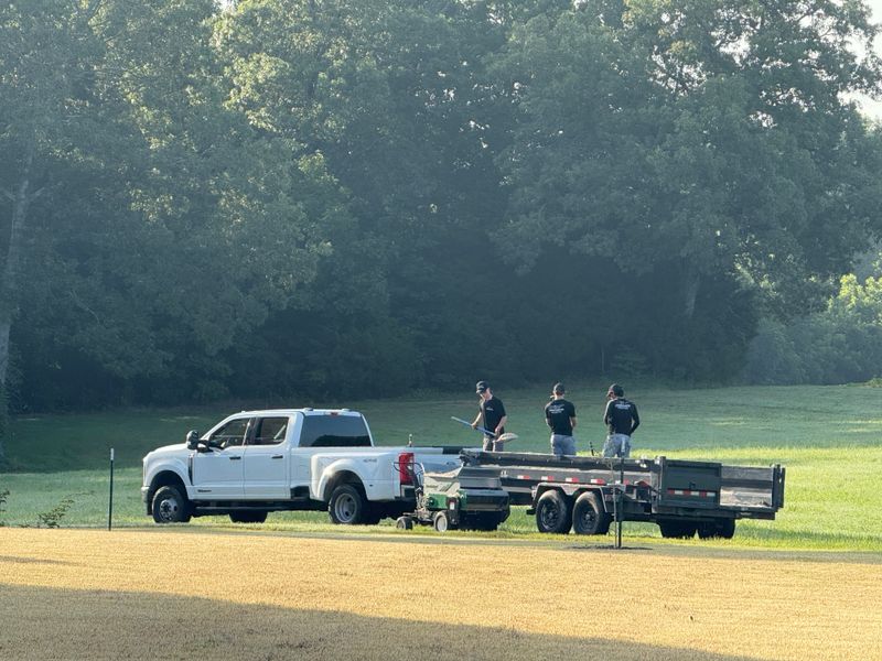 Lawn Maintenance