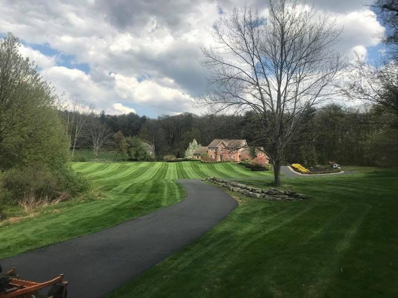 Tree & Shrub Care