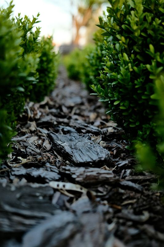 Mulching