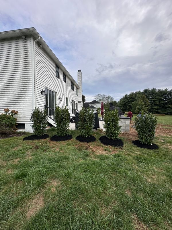Tree & Perennial Planting
