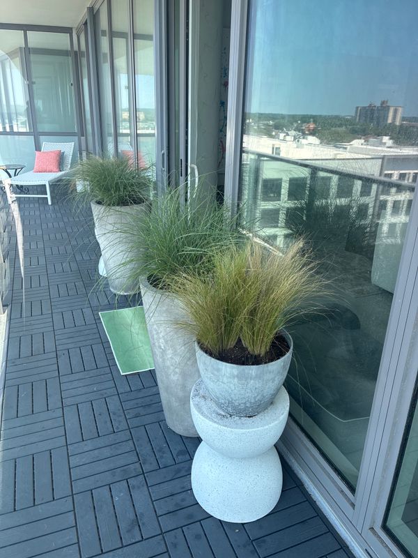 Plant & Shrub Installations