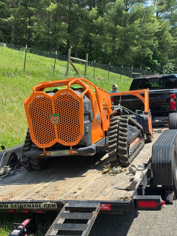 Vegetation Removal // Brush Removal