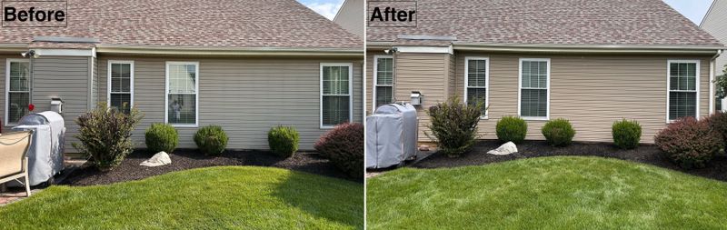 Oxidation Removal