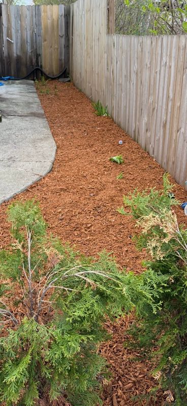 Lawn Maintenance