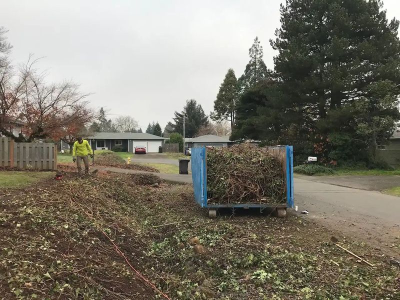 Stump Removal
