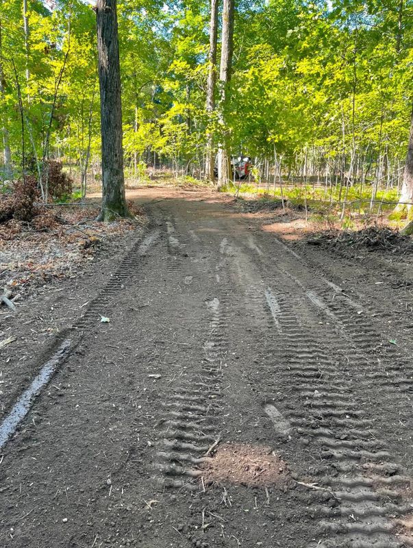 Land Clearing & Forestry Mulching