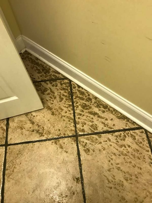 Post-Construction Cleaning