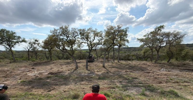 Land Clearing