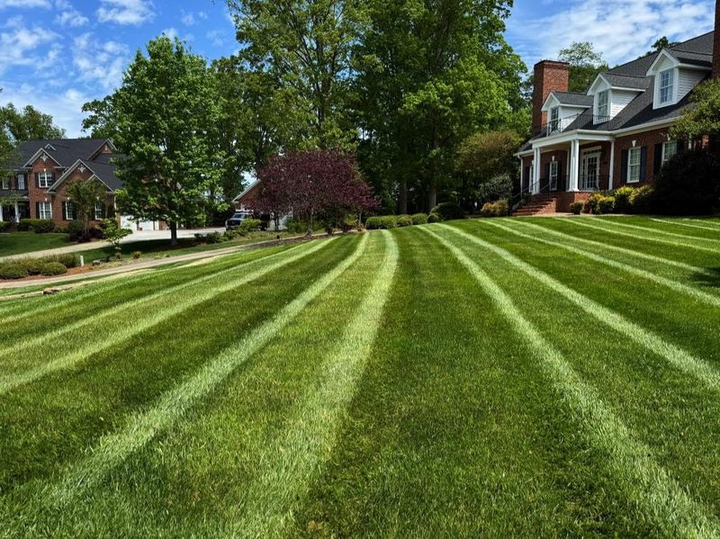 Mowing