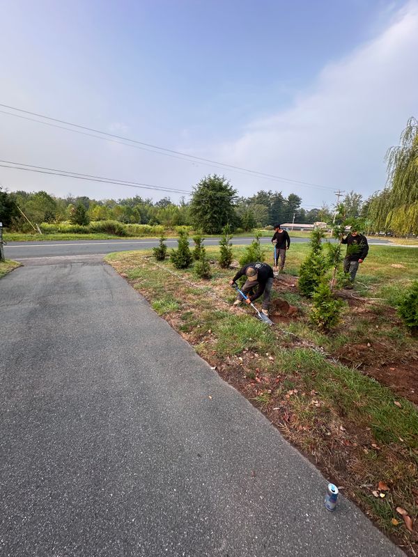 Tree & Perennial Planting