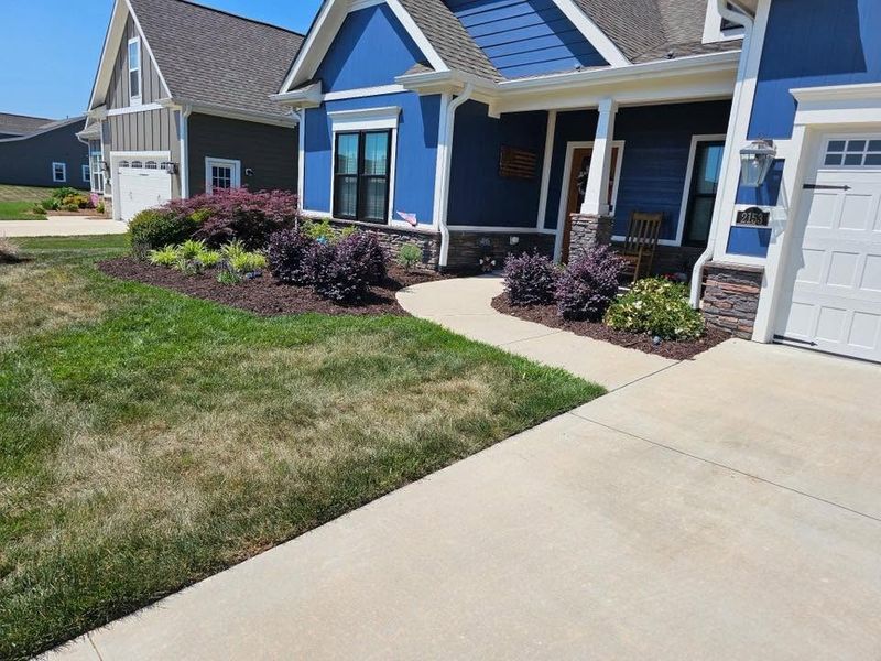 Tree and Shrub Care