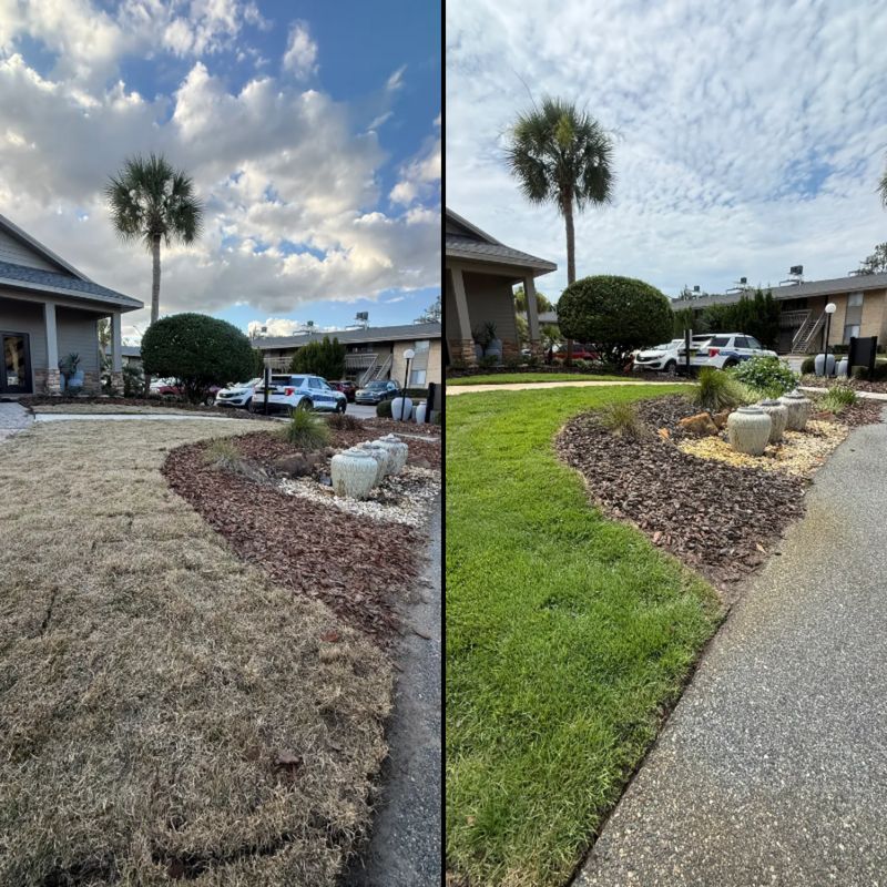 Landscape & Property Cleanup