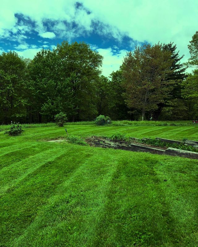 Lawn Mowing