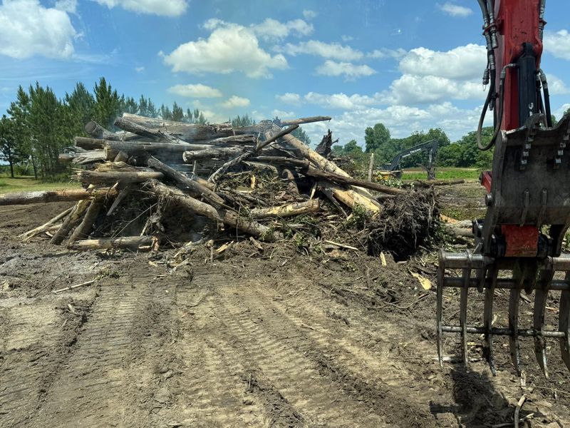 Land Clearing