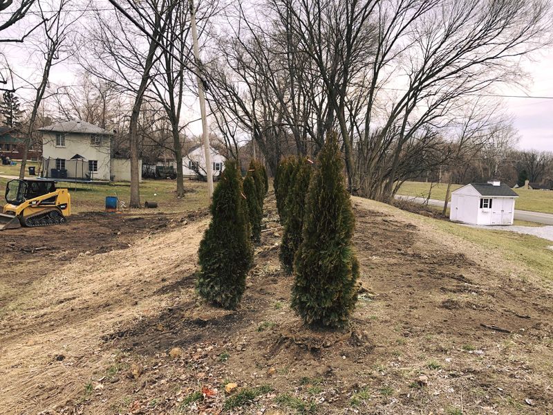 Landscaping