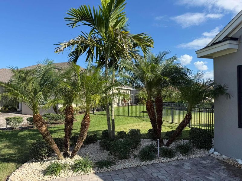 Landscape Removal