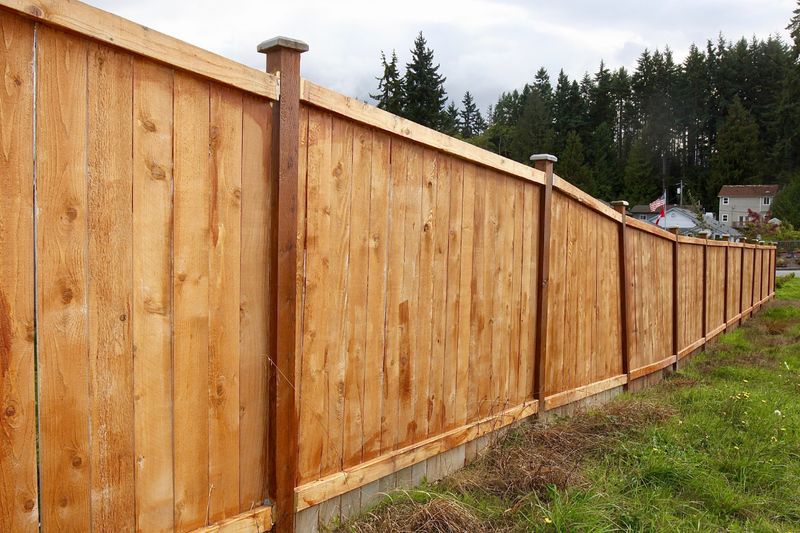 Fencing Repair & Installation