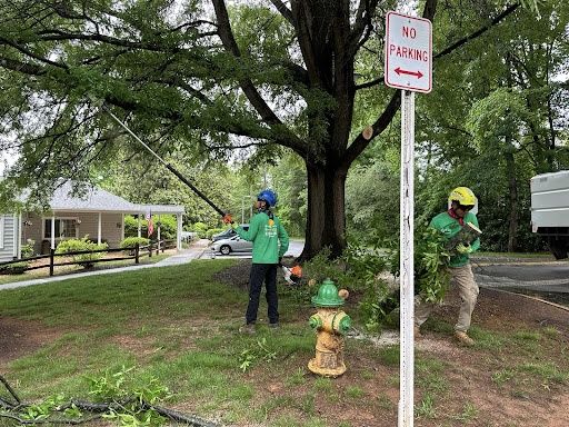 Residential Tree Services