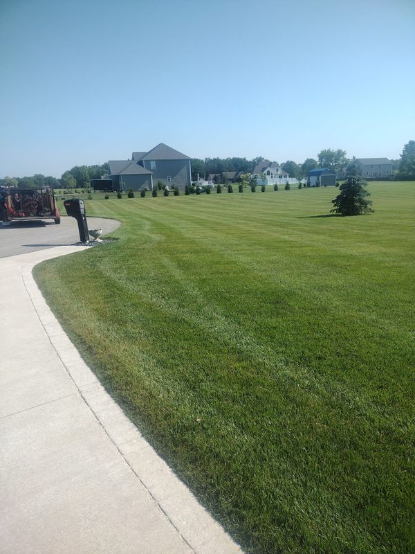 Lawn Care and Maintenance