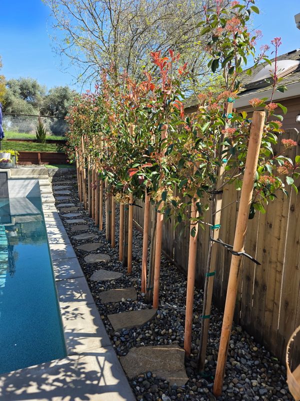 Landscaping