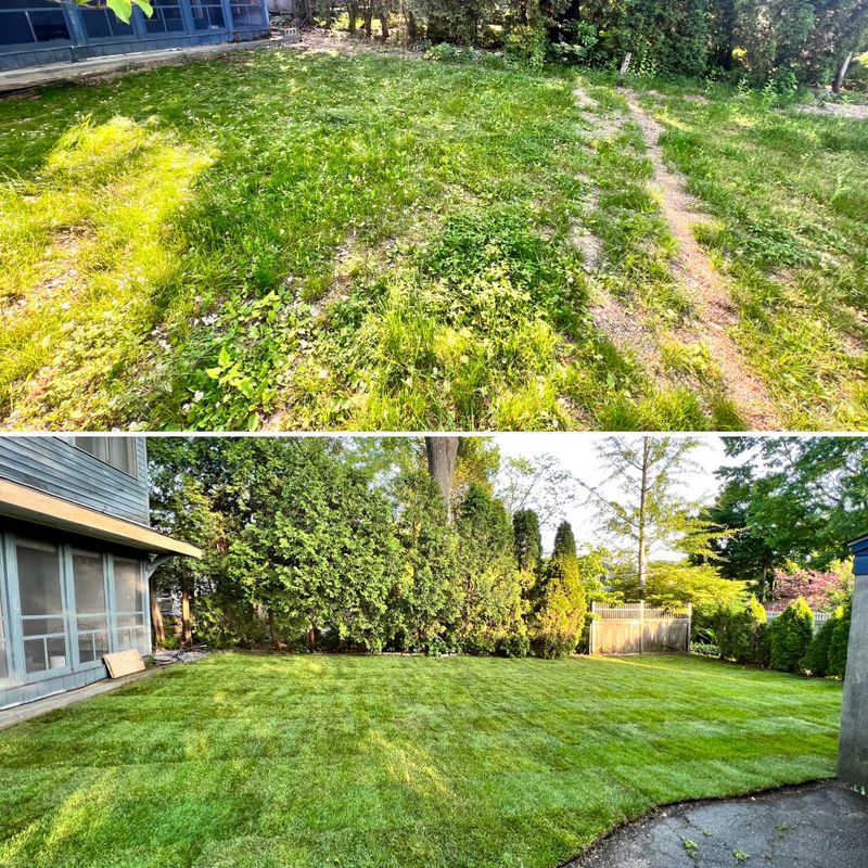 Landscaping