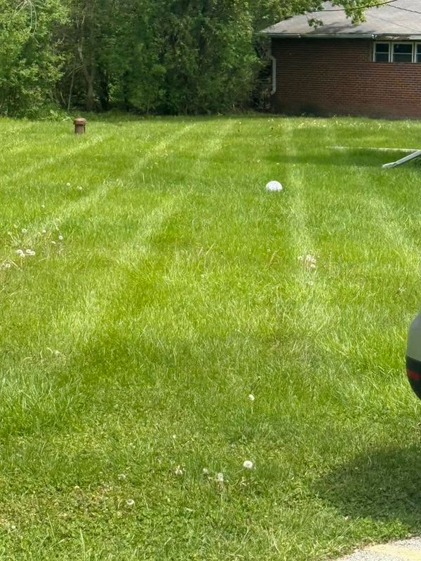 Lawn Maintenance