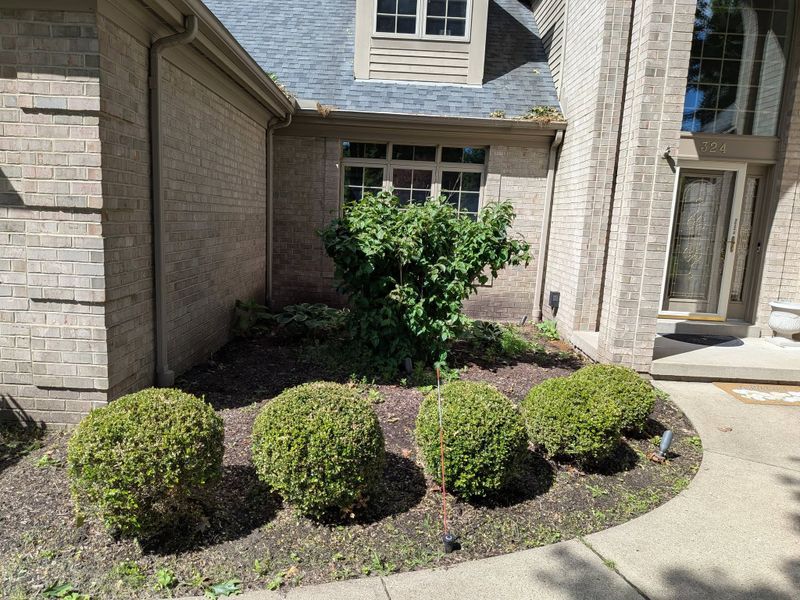 Landscape Design