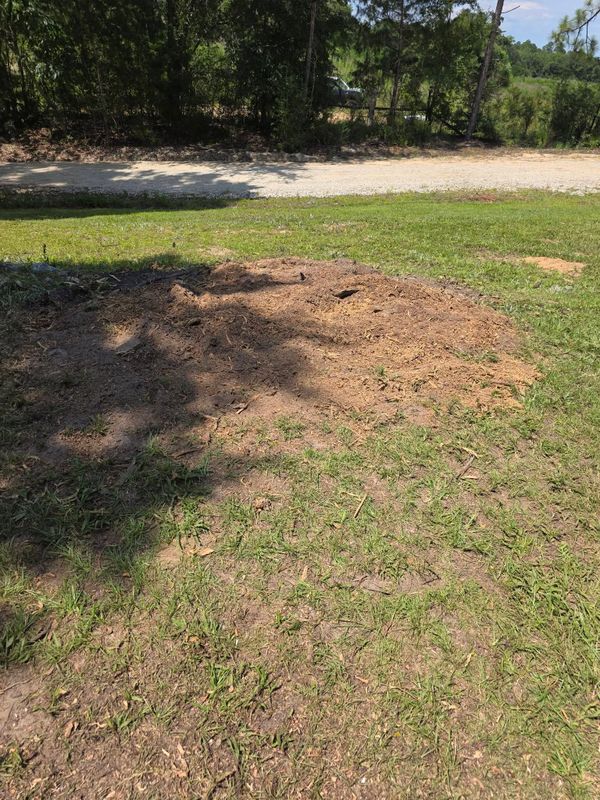 Site Preparation