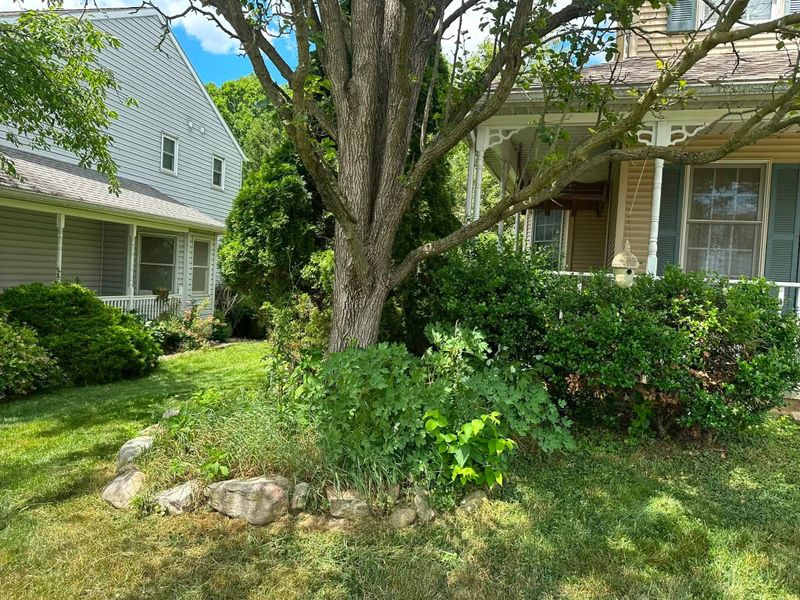 Tree and Shrub Care