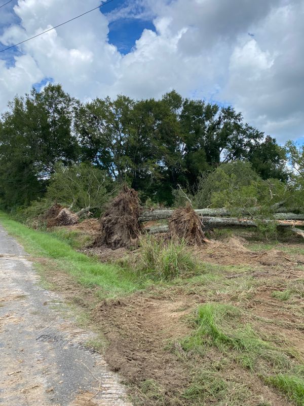 Land Clearing