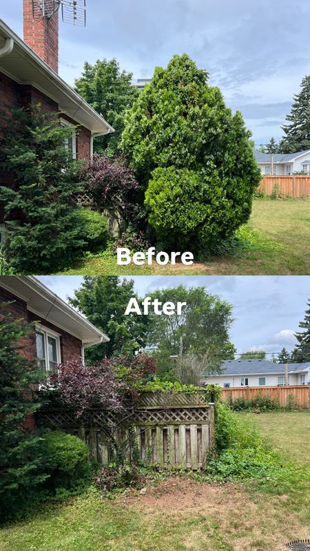 Landscaping