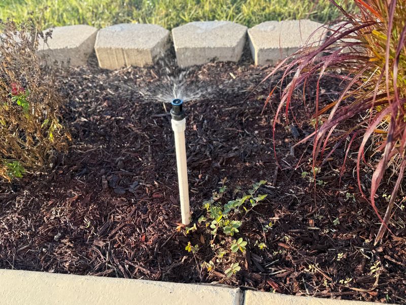 Drip Irrigation Installation and Maintenance