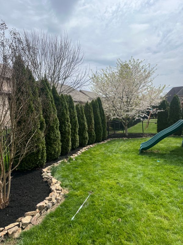 Privacy Trees