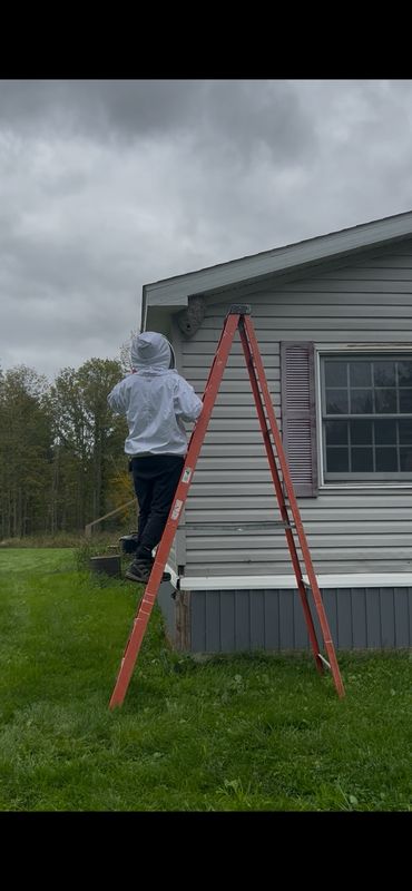 Pest Control Services