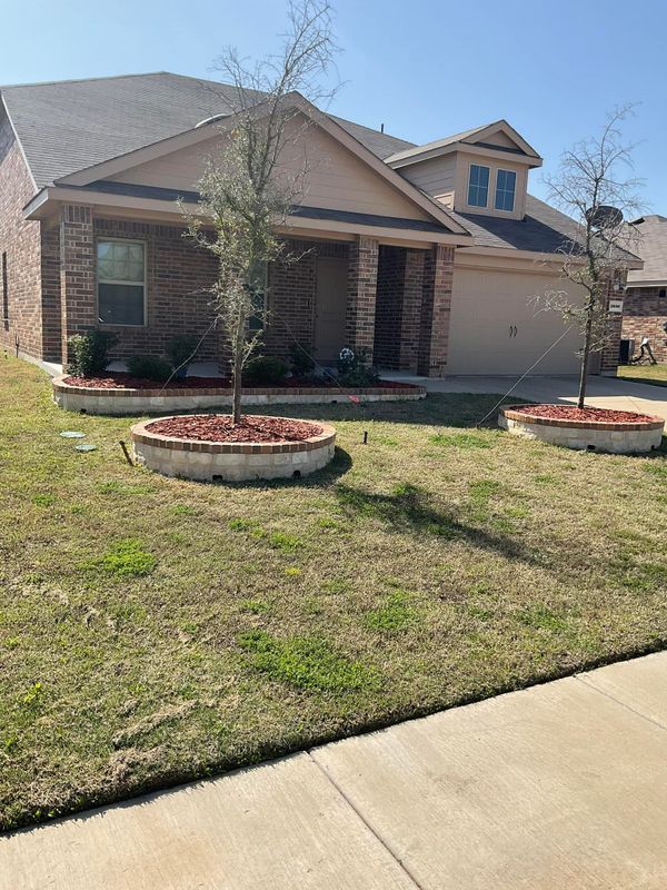 Lawn Care