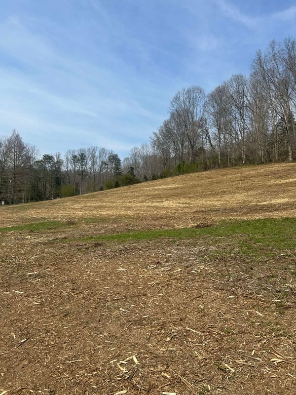 Land Clearing