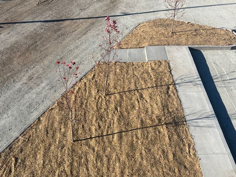Hardscape