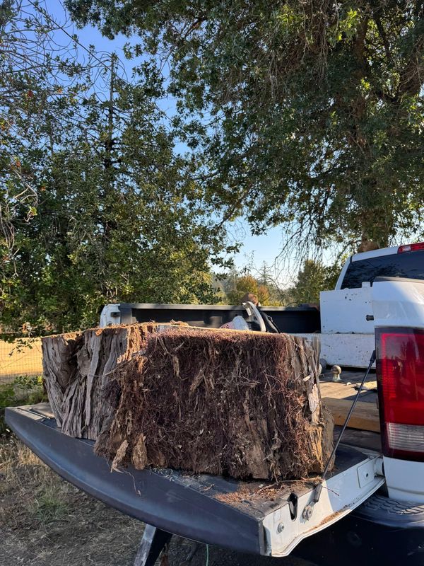 Tree Removals