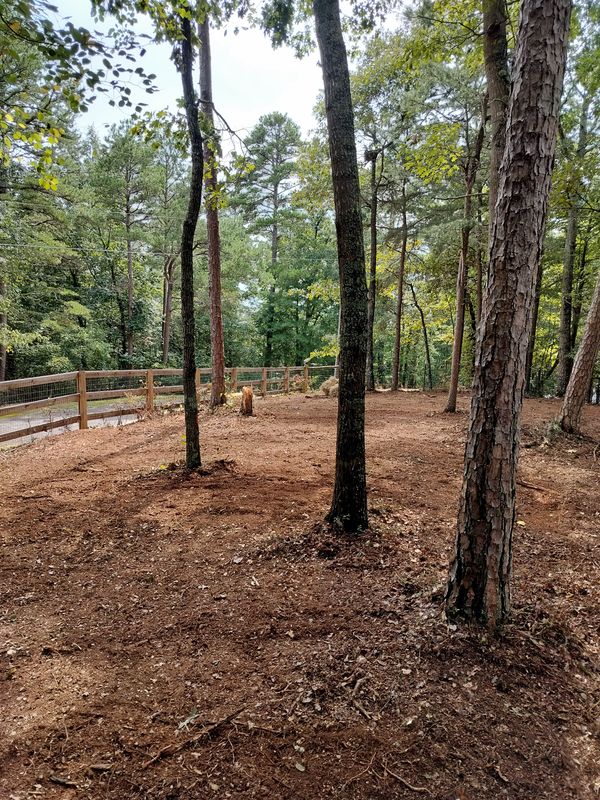 Land Clearing and Site Preparation