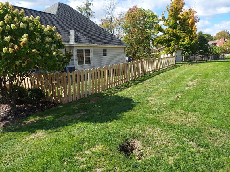 Fence Installation