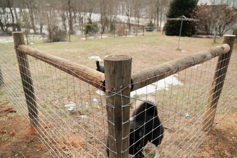 Farm Fences
