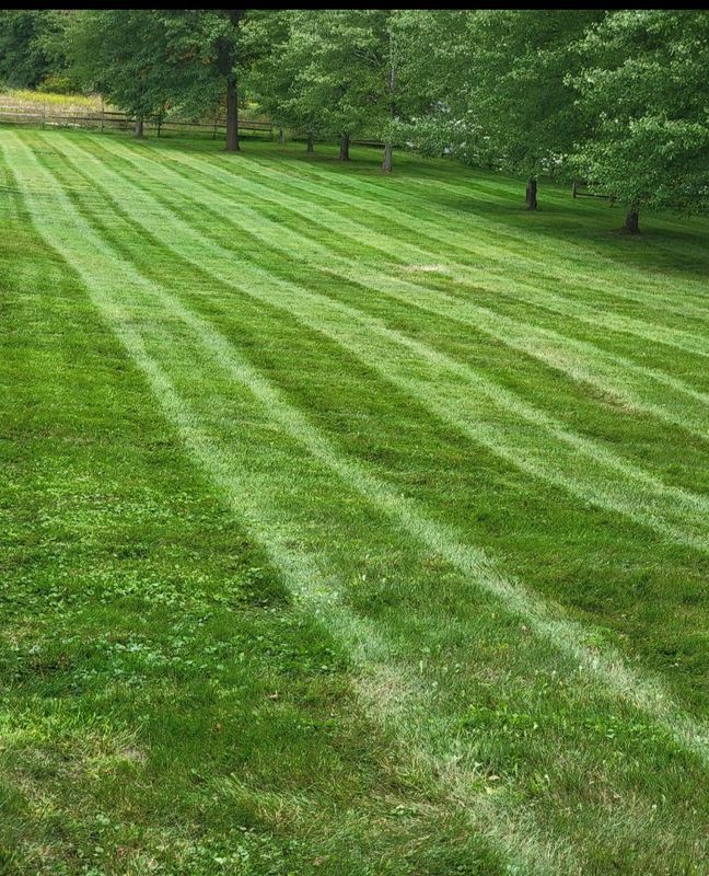 Garden Maintenance