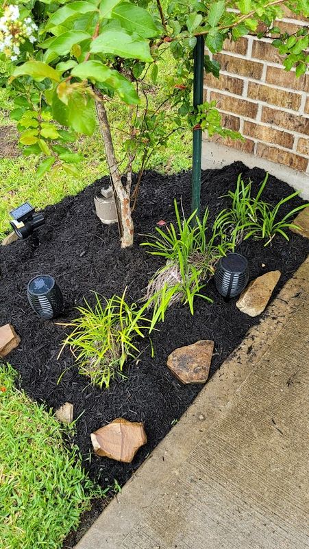 Mulch Installation