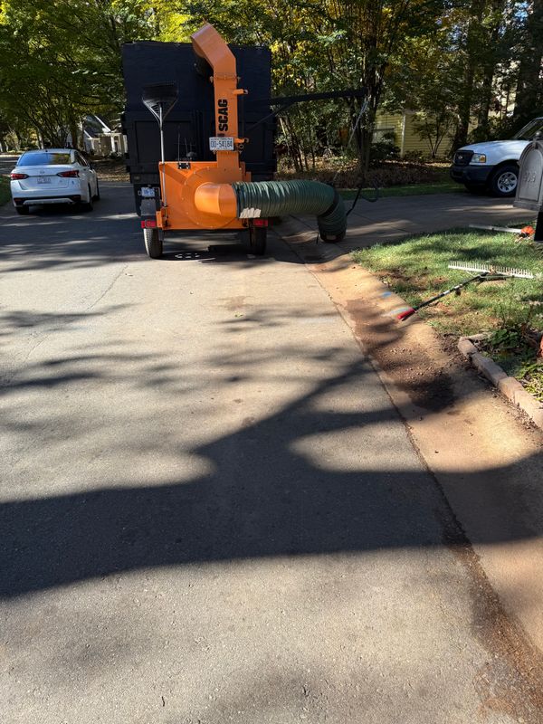 Leaf Removal