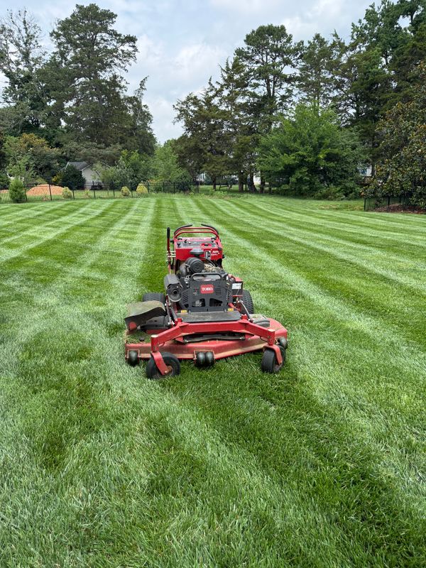 Aeration and Seeding