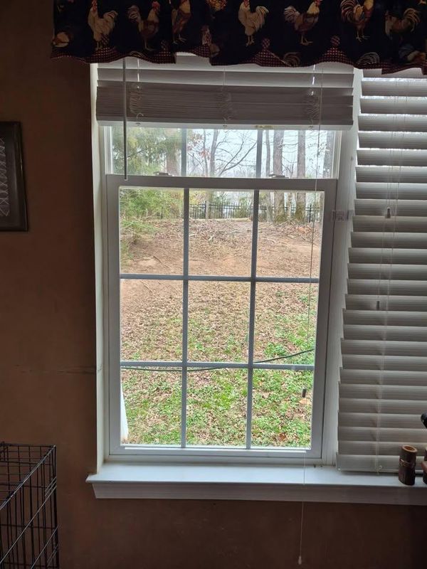 Other Glass Replacement
