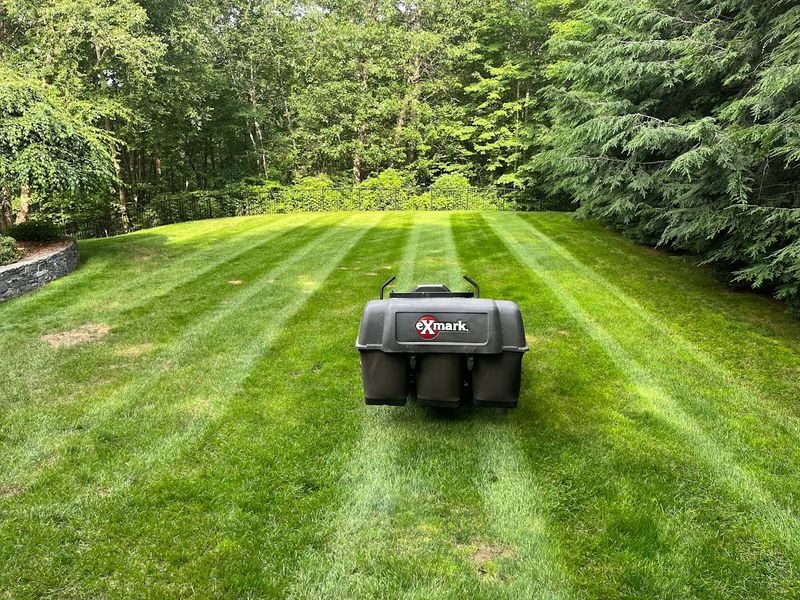 Lawn Repair and Expansions